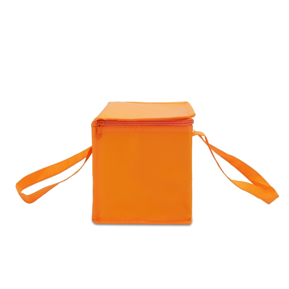  Bolsa Térmica 